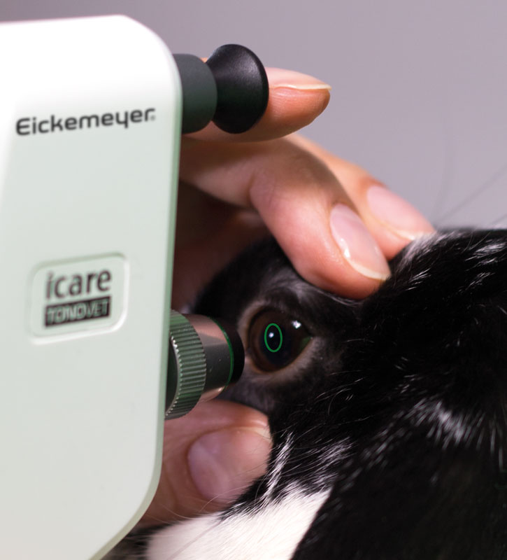 [DK]Tonometer, iCare® TONOVET Plus